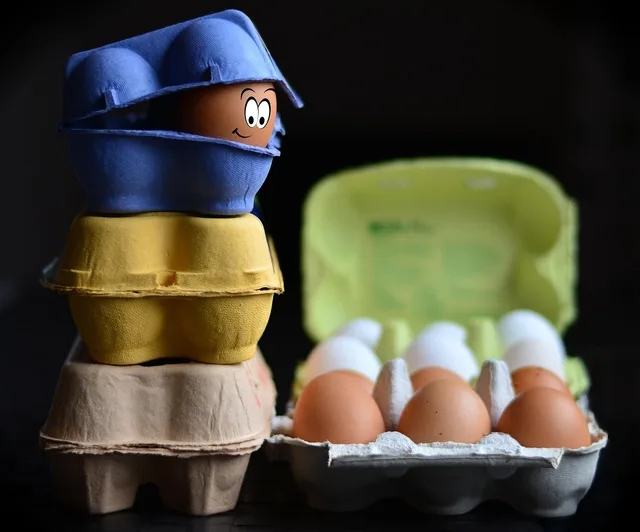 egg cartons, eggs, egg box, egg packaging, bio, organic eggs, nourishment, pack, natural product, hen's egg, food. Packaging and labelling specifications